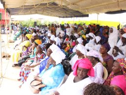 CissAgro - Région de Kaolack (Sénégal)
