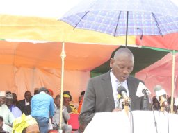 CissAgro - Région de Kaolack (Sénégal)